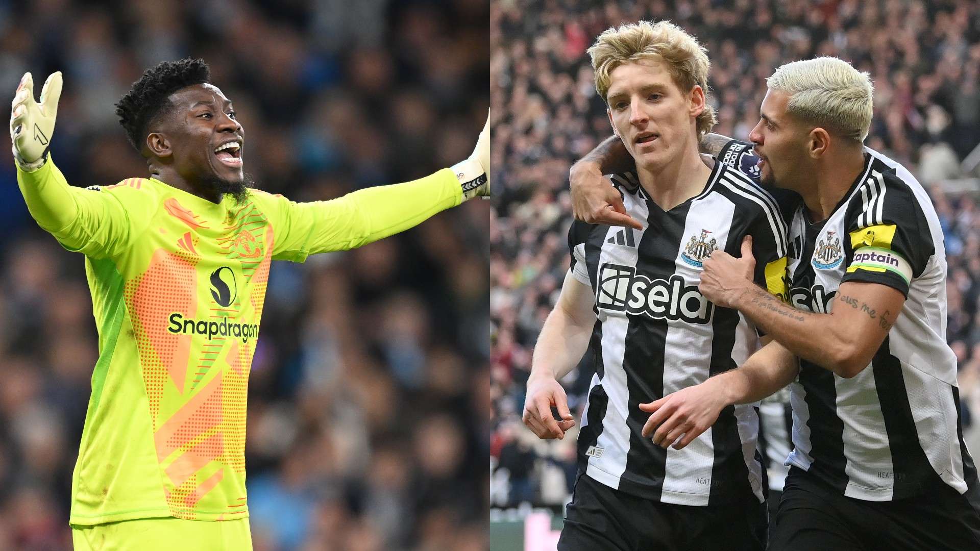 着必然会获 着必然会获